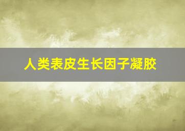 人类表皮生长因子凝胶