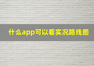 什么app可以看实况路线图