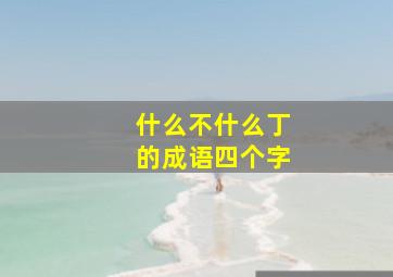 什么不什么丁的成语四个字