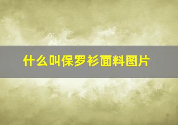 什么叫保罗衫面料图片