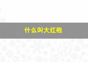 什么叫大红袍