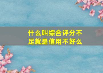 什么叫综合评分不足就是信用不好么