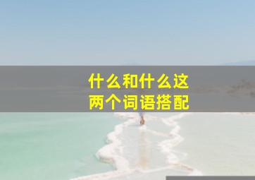 什么和什么这两个词语搭配