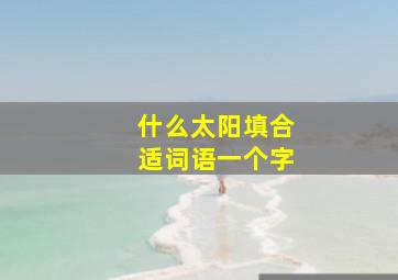 什么太阳填合适词语一个字