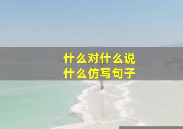 什么对什么说什么仿写句子