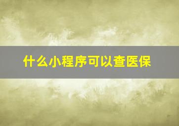 什么小程序可以查医保