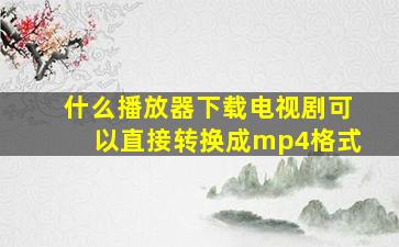 什么播放器下载电视剧可以直接转换成mp4格式