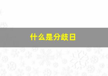 什么是分歧日