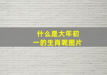 什么是大年初一的生肖呢图片