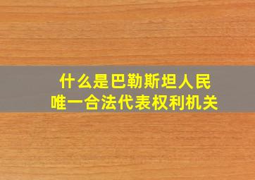 什么是巴勒斯坦人民唯一合法代表权利机关