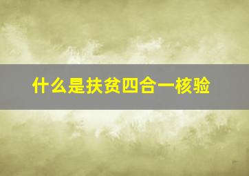 什么是扶贫四合一核验