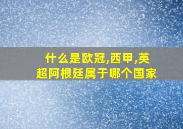 什么是欧冠,西甲,英超阿根廷属于哪个国家