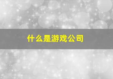 什么是游戏公司