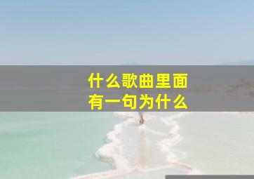 什么歌曲里面有一句为什么