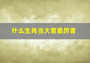 什么生肖当大官最厉害