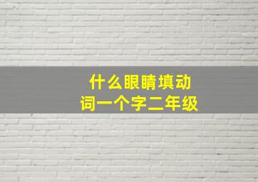 什么眼睛填动词一个字二年级