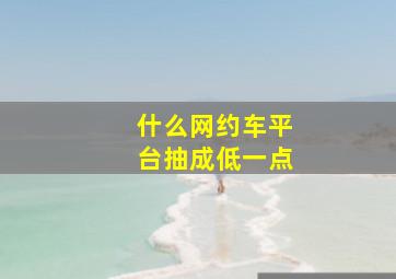 什么网约车平台抽成低一点