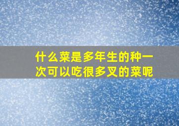 什么菜是多年生的种一次可以吃很多叉的菜呢