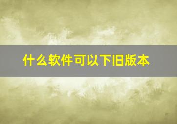 什么软件可以下旧版本