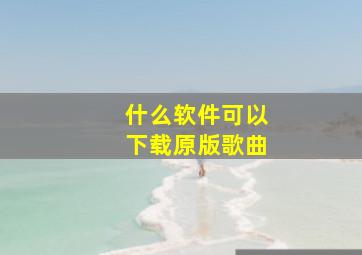 什么软件可以下载原版歌曲