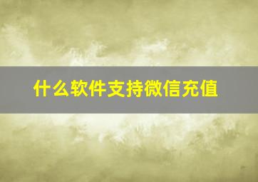 什么软件支持微信充值