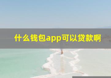 什么钱包app可以贷款啊