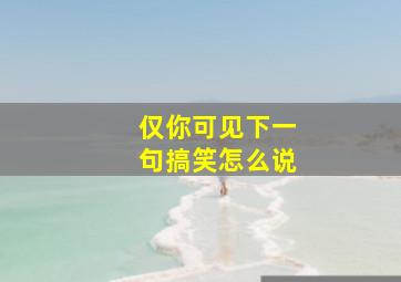 仅你可见下一句搞笑怎么说