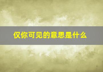 仅你可见的意思是什么