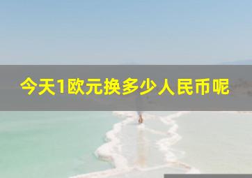 今天1欧元换多少人民币呢