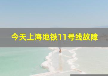 今天上海地铁11号线故障