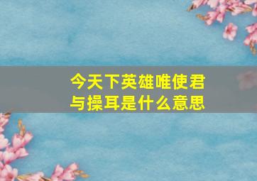 今天下英雄唯使君与操耳是什么意思