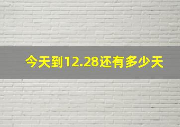 今天到12.28还有多少天