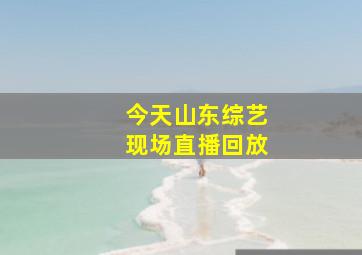 今天山东综艺现场直播回放