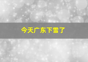 今天广东下雪了