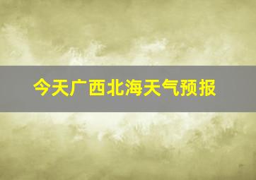 今天广西北海天气预报