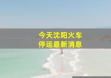 今天沈阳火车停运最新消息