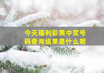 今天福利彩票中奖号码查询结果是什么呢