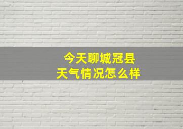 今天聊城冠县天气情况怎么样