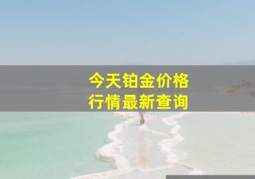 今天铂金价格行情最新查询