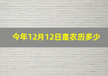 今年12月12日是农历多少