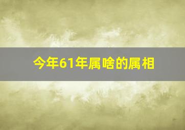 今年61年属啥的属相