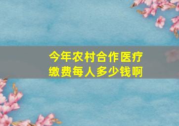 今年农村合作医疗缴费每人多少钱啊