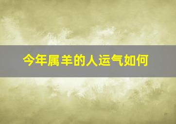 今年属羊的人运气如何