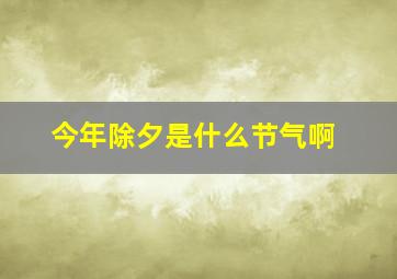 今年除夕是什么节气啊