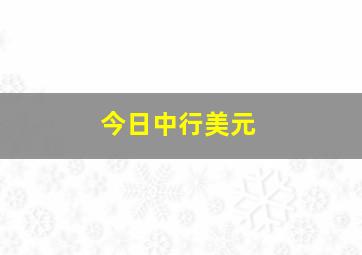 今日中行美元