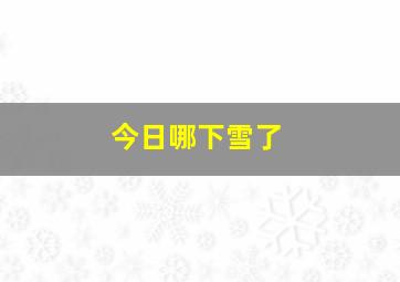 今日哪下雪了