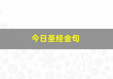 今日圣经金句