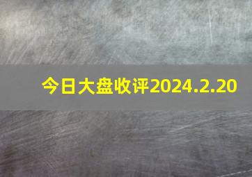 今日大盘收评2024.2.20