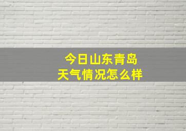 今日山东青岛天气情况怎么样