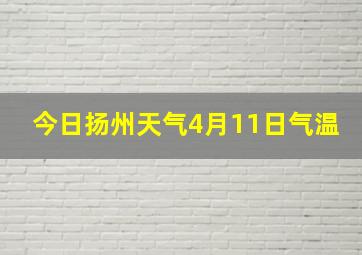 今日扬州天气4月11日气温